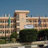 جامعة المنوفية