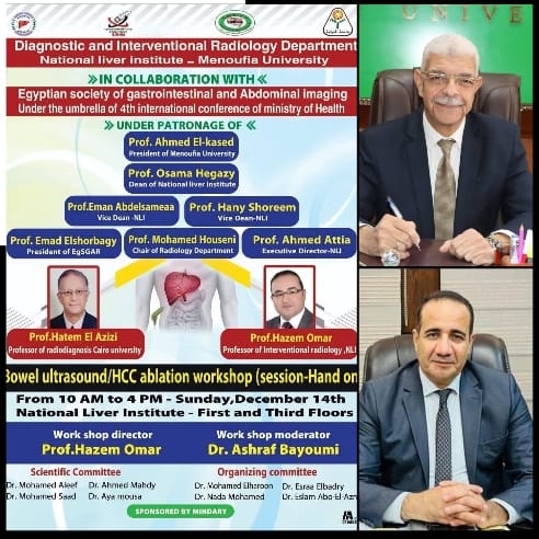 "المستجدات في موجات الأمعاء فوق الصوتية واستئصال أورام الكبد (HCC Ablation)"