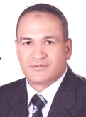 ا.د. حسن نبيه أبو سعد .jpg
