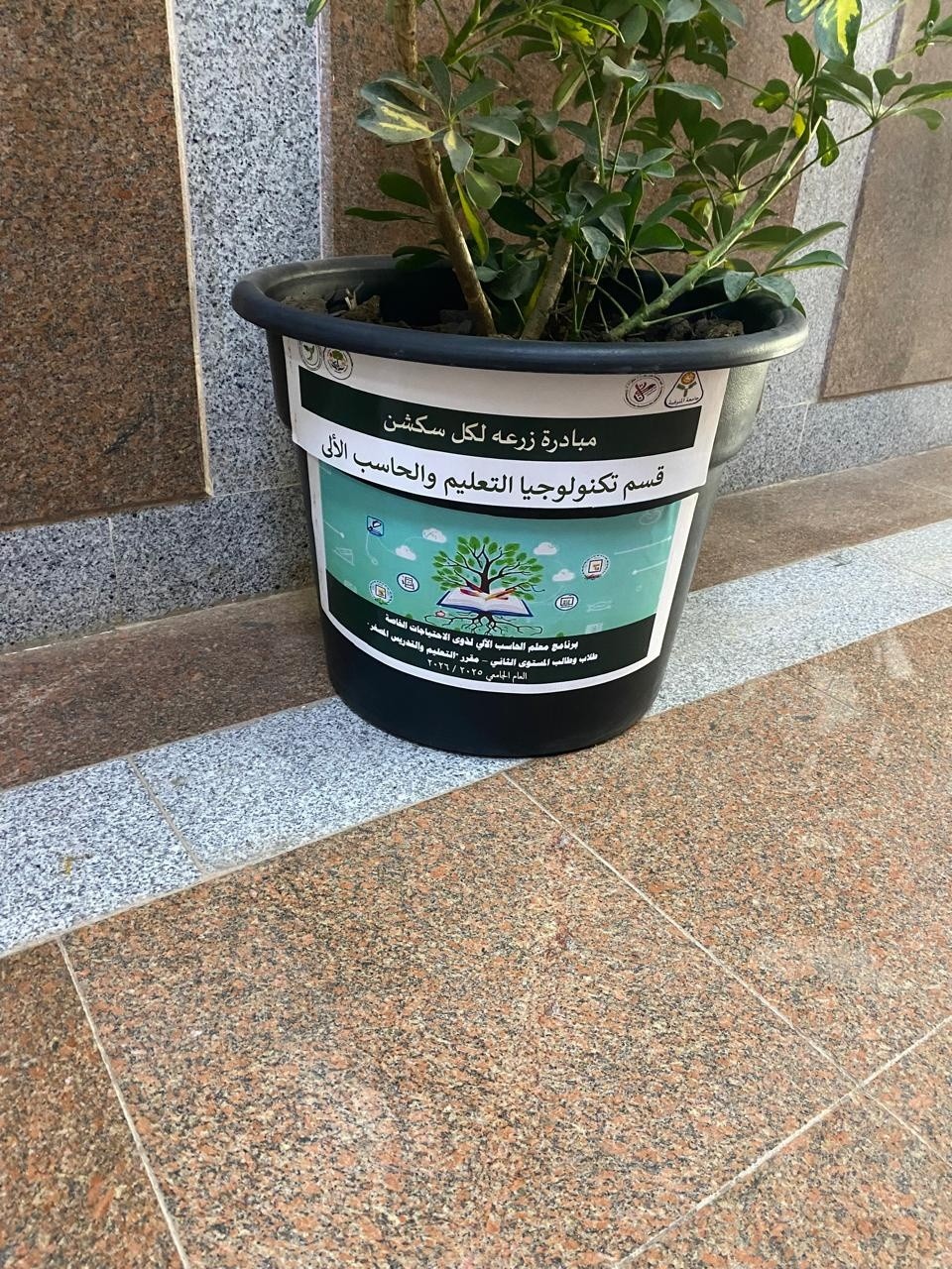 "أصيص زرع لكل سكشن"