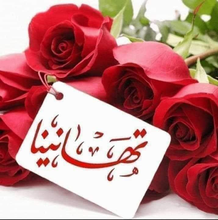 لوجو