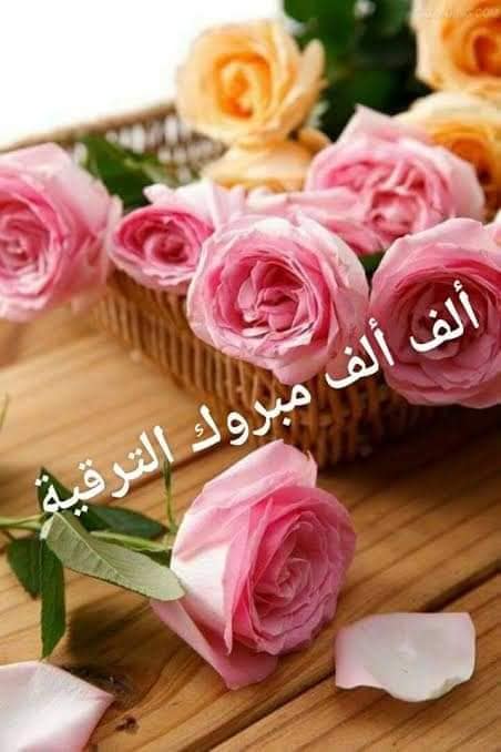 تهنئة كلية التمريض