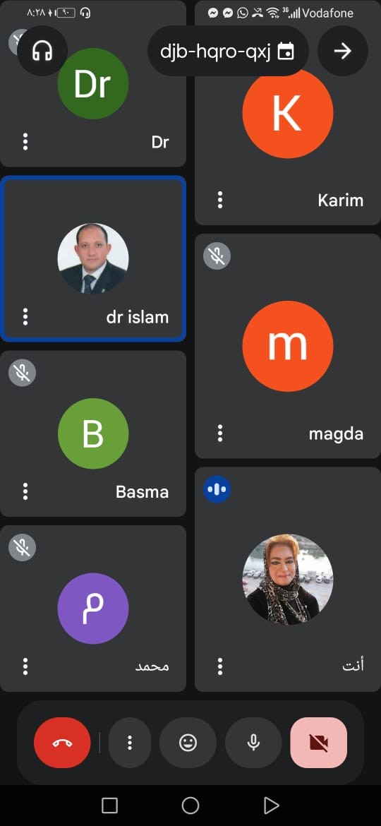 لقاء  نائب مدير مركز ضمان الجودة اون لاين عبر تطبيق زووم مع كلية العلوم الرياضية جامعة المنوفية