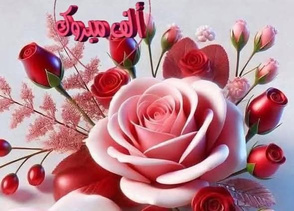 مركز ضمان الجودة بجامعة المنوفية يقدم التهنئة لصدور القرار الجمهورى بتعيين ثلاث عمداء بكليات جامعة المنوفية