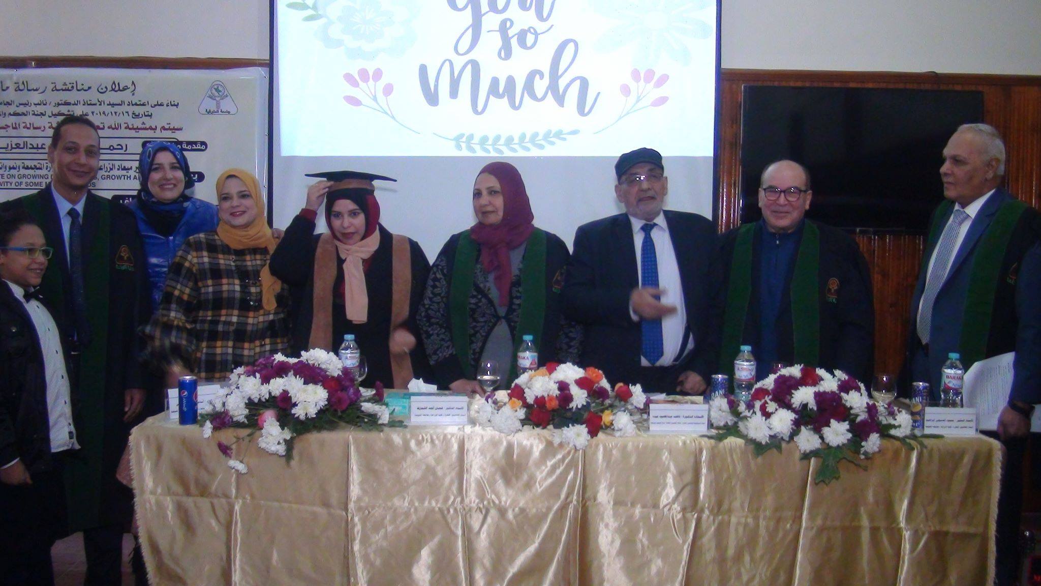 زراعة المنوفية تطرح دراسة بحثية جديدة حول توقيتات زراعة الذرة الشامية وزيادة الجودة الإنتاجية
