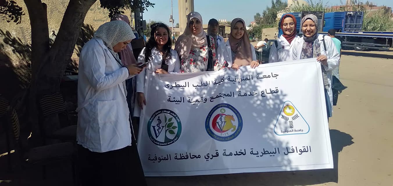 Veterinary medicine Menoufia in a treatment convoy in Kafr Abu Al-Hassan
