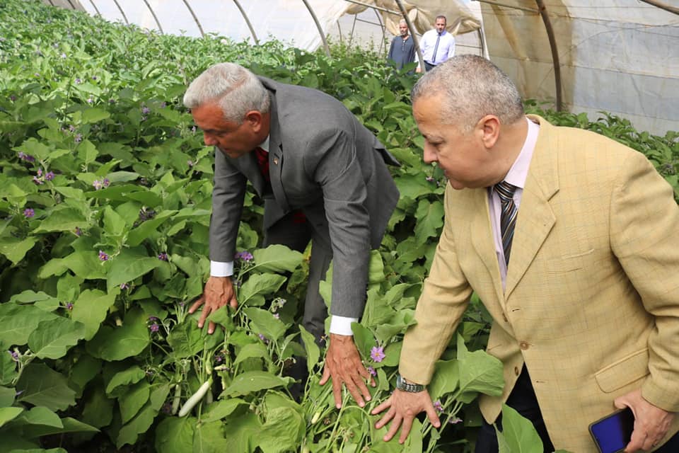 The products of the Faculty of Agriculture Menoufia University are contributing to meeting the needs of the community of vegetables, meat and dairy products.
