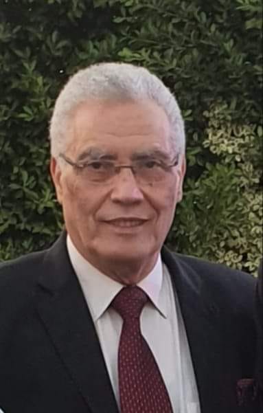 Ali Farag  director of the Blended Learning Center at Menoufia University for two years
